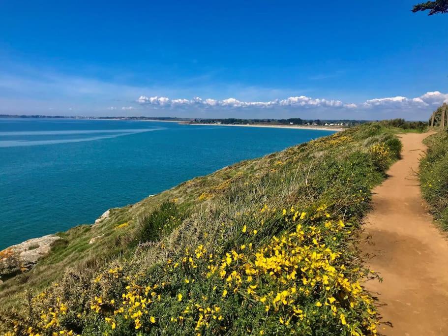 Cote Golfe - Golfe Du Morbihan Сарзо Экстерьер фото
